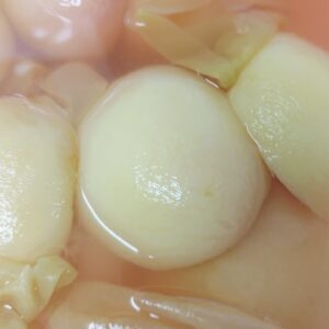 山梨県産季節の食材が続々と入荷