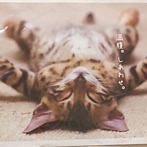 3月連休のお知らせ