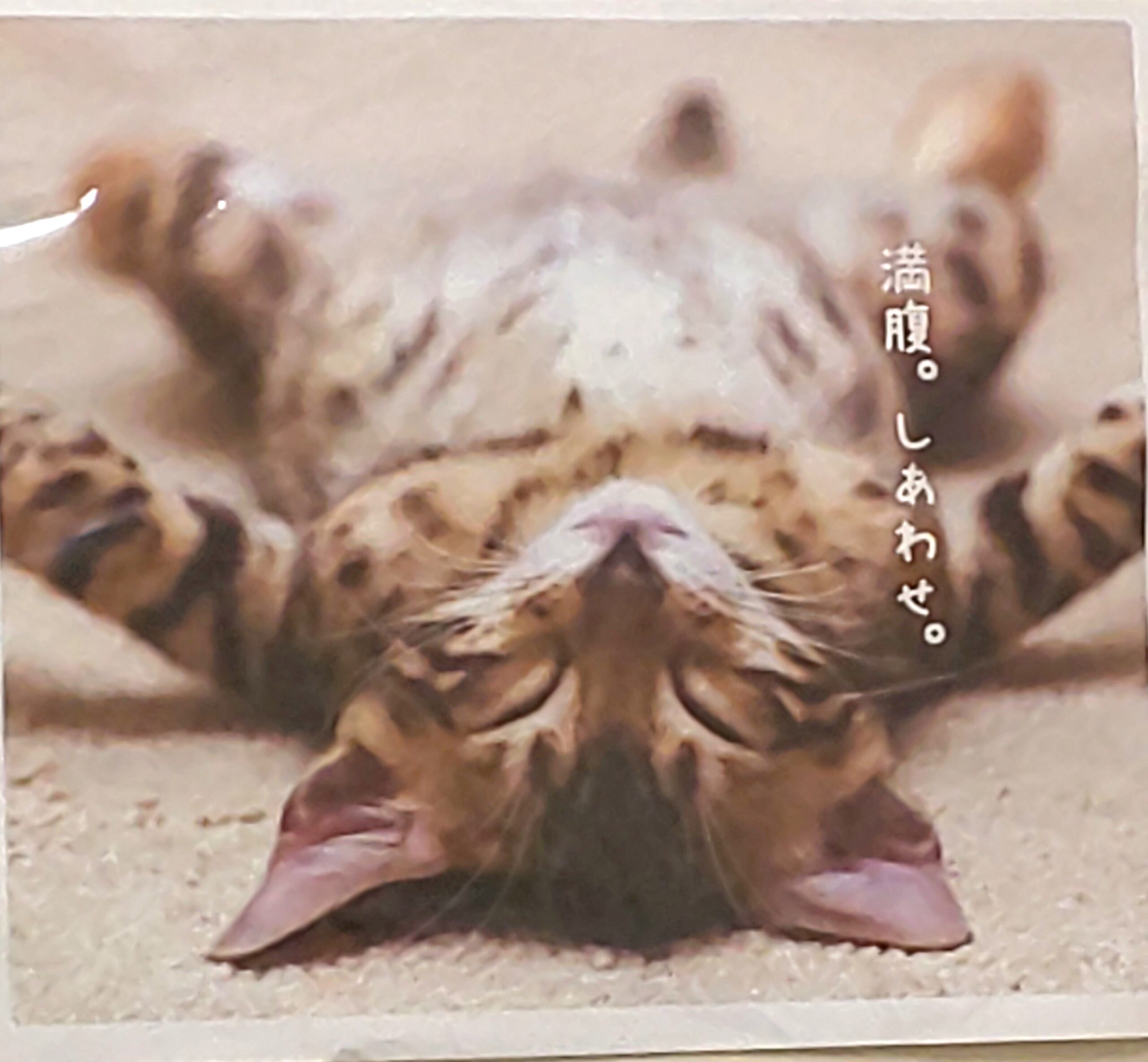 あなたが現在見ているのは 3月連休のお知らせ